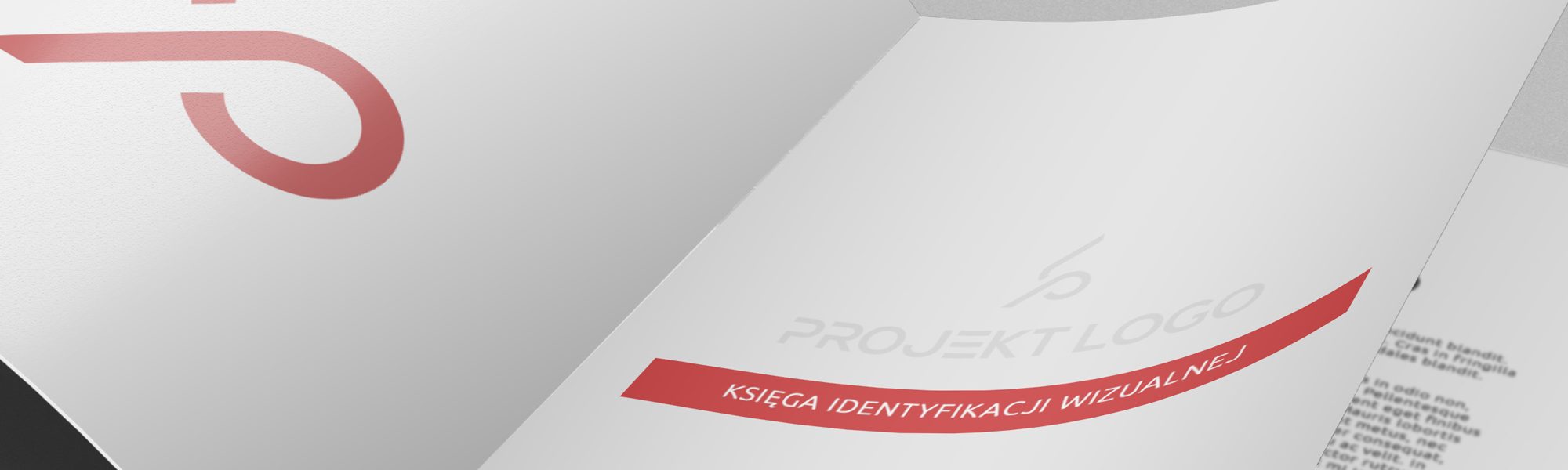 Corporate identity book Białystok, Warszawa
